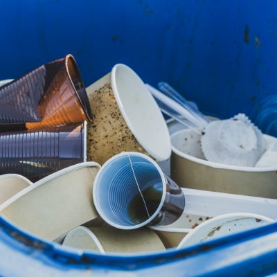 Single-use cups in bin